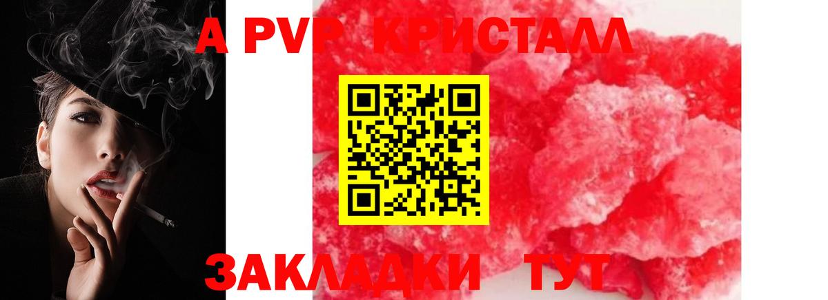 Курчалой  A-PVP СК  Alfa_PVP VHQ  Вход с VPN 