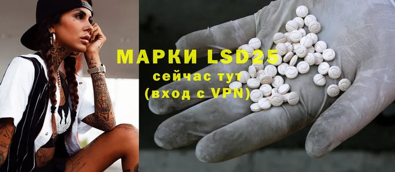 LSD-25 экстази кислота  darknet как зайти  Курчалой 