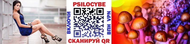 где купить наркоту  Курчалой  Псилоцибиновые грибы мухоморы 