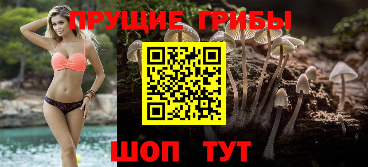 Галлюциногенные грибы мухоморы Курчалой