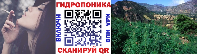Каннабис индика  мега зеркало  Курчалой 
